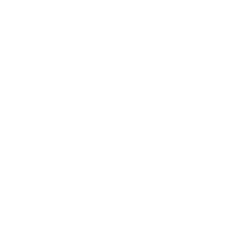 The Bright Midnight